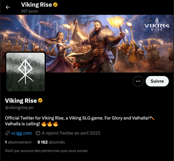 Twitter Viking Rise