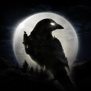 Official Night Crows icon