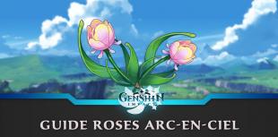 Rose arc-en-ciel à Genshin Impact