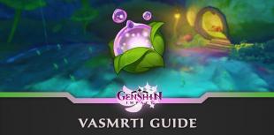 Find all Genshin Impact Vasmrti