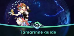 Tamarinne Epic Seven Guide