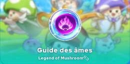 Guide des âmes Legend of mushroom