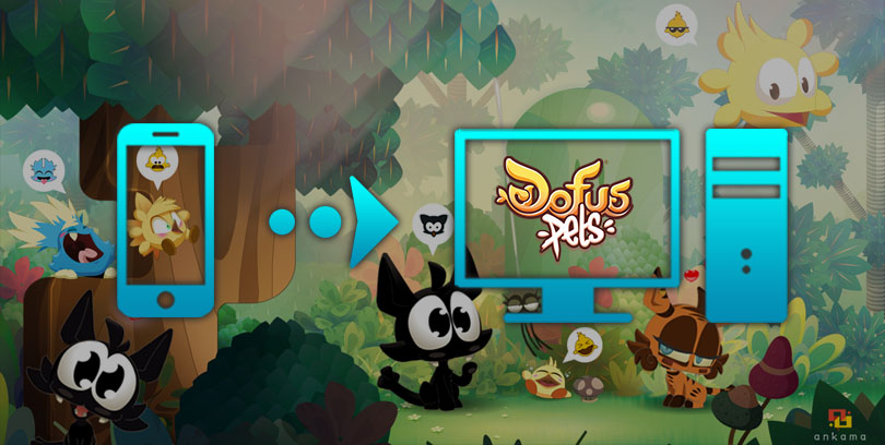 how to play dofus pets on pc