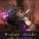 guide brakus raid shadow legends