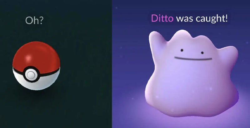 Ditto Pokémon Go message de capture
