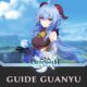 Guide Guanyu Genshin Impact