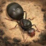 IKcône Ants: The Underground Kingdom