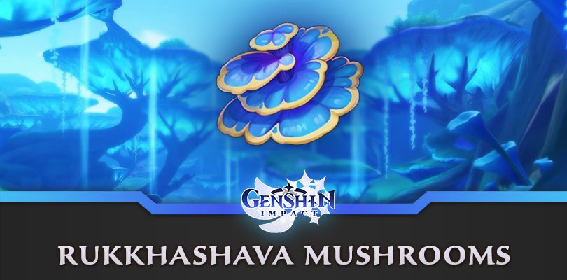 Genshin Impact Rukkhashava Mushrooms : farm guide