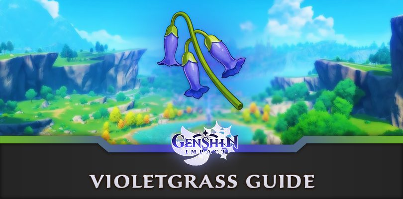 Find Genshin Impact Violetgrass : farm guide